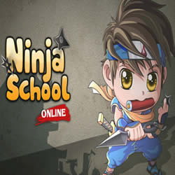 ninja-2.jpg